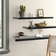 thumbnail image 3 of GIRACOA 2 Packs Black Floating Shelves for Wall, Space Saving Wall-Mounted Shelves for Book, Decor, Plant, 3 of 7