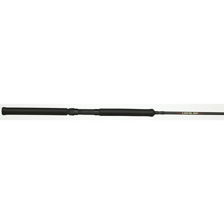 B'N'M Buck's Best Ultra-Lite with Bottom Reel Seat and Touch System 2-Piece (Best Fishing Pole For Stripers)