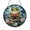 Acrylic 3.5 Inch, variant on Reading Worm Stained Glass Style Window Decor – Literary Theme Hanging Art