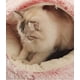 thumbnail image 2 of Casa cueva para gatos, cama para gatos, nido para mascotas, saco de dormir, cueva plegable 2 en 1, color café, 2 of 6