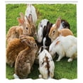 thumbnail image 3 of Ambesonne Bunny Shower Curtain, Real Image of a Group Feeding, 69"Wx84"L, Multicolor, 3 of 3