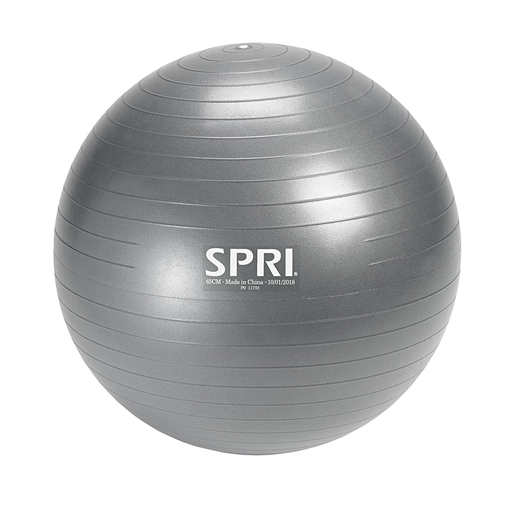 SPRI Weighted Stability Exercise Ball, 65CM, Grey