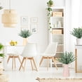 thumbnail image 3 of 20Pcs Artificial Leaves,Realistic Not Wither Non-fading Decor,Simulated Eucalyptus Leaves Party Decor, 3 of 7