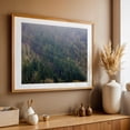 thumbnail image 5 of Not Zip Lines - Rainier Oregon Photography Forest Nature Woodland Foggy Scenic Wilderness Landscape Unframed Wall Art Print 32 x 48 inches, 5 of 7