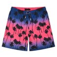 thumbnail image 1 of Pantalones de natación de verano para surf, calzoncillos bóxer de cintura baja para adultos para hombres Pompotops  qyievc7851, 1 of 6