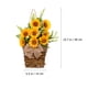 thumbnail image 2 of unbranded Guirnalda De Girasol Para Puerta Exterior Ideal Para Fiestas Y Eventos, 2 of 8