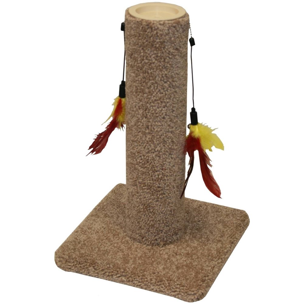 cat carpet toy