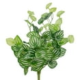 thumbnail image 5 of Allstate Artificial Peperomia Watermelon Leaves Spray  - 16" - Green, 5 of 6