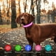 thumbnail image 4 of Collar LED para perros, collar con flash recargable que se ajusta al collar de la mascota para aumentar la visibilidad, súper brillante, 4 of 5