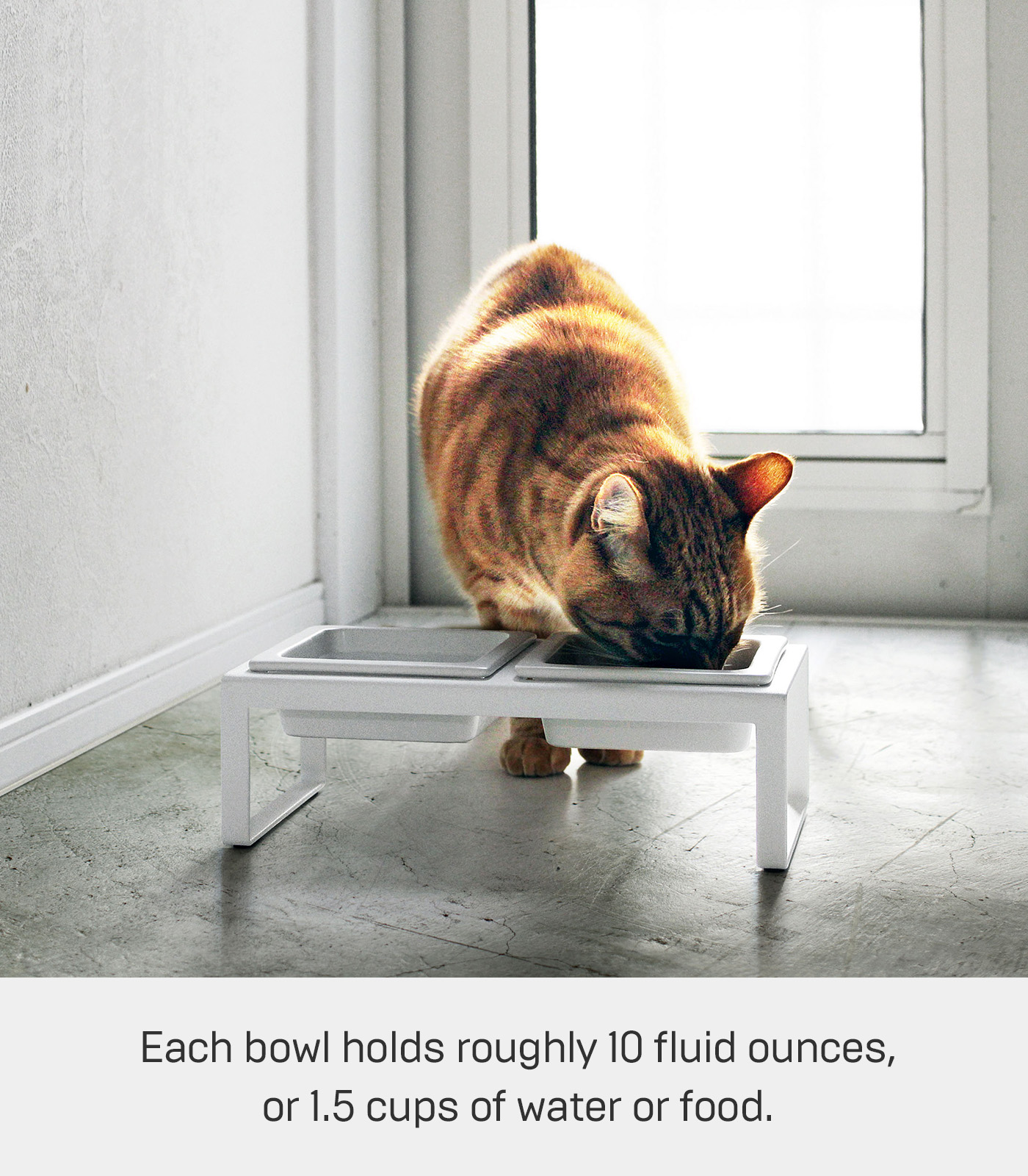 Yamazaki Home Pet Food Bowl - Two Styles, White, Steel + Ceramic, Tall, 1.25 cups, 300 milliliters per bowl, No Assembly