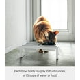 thumbnail image 4 of Yamazaki Home Pet Food Bowl - Two Styles, White, Steel + Ceramic, Tall, 1.25 cups, 300 milliliters per bowl, No Assembly, 4 of 7