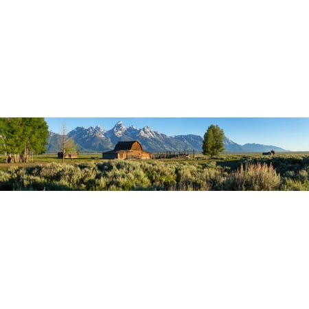 T A Moulton Barn in field Mormon Row Grand Teton National Park Wyoming USA Poster Print by Panoramic