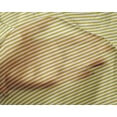 thumbnail image 4 of oneOone Silk Tabby Fabric Horizontal Stripe Print Sewing Fabric BTY 42 Inch Wide, 4 of 4