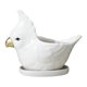 thumbnail image 1 of Ceramic Flowerpot Cartoon Parrot for Decor 1Set with Tray, 1 of 3