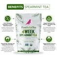 thumbnail image 4 of PCOS Spearmint Organic Tea helps hormone balance, reduce unwanted hair, clear acne, healthy skin (1pack), 4 of 9