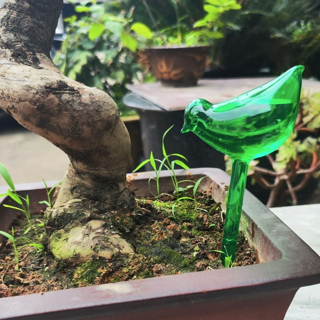 Watering Globes Automatic Watering Bulbs Garden Watering Globes Device Water Device For Self Watering System For Indoor Outdoor Garden Water Hose Attachments