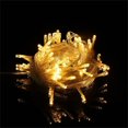 thumbnail image 1 of MesaSe Halloween Decorations Vente 10M 100 LED String Lumière Colorée LED String Festival Decoration(Acheter 2 Obtenir 1 Gratuit), 1 of 4