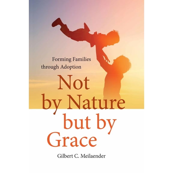 Catholic Ideas for a Secular World Not by Nature But by Grace: Forming Families Through Adoption, (Hardcover)