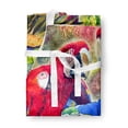 thumbnail image 3 of Parrot Apron, 3 of 4