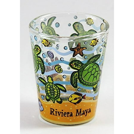Riviera Maya Mexico Sea Turtles Bottom Design Shot