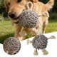 thumbnail image 2 of Juguete interactivo de tira y afloja para mascotas, con chirriador en el interior y textura masticable, cuidado dental para cachorros y perros, entrenamiento y juego en interiores y exteriores, 2 of 6