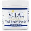 Vital Nutrients - Vital Brain Powder - Support for Brain Health and Cognitive Function - Vegetarian - Unflavored - 150 Grams