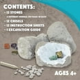 thumbnail image 2 of Kit de excavación MindWare Dig It Up! Fósiles y minerales, 2 of 8