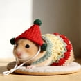 thumbnail image 3 of Sombrero para hámster, mini gorro de fiesta, apto para animales pequeños, bonita boina tejida a mano, pequeña y adorable, perfecta para animales como los cerdos barbudos, 3 of 3