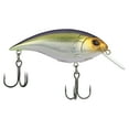 thumbnail image 2 of Berkley Shallow Money Badger Fishing Crankbait, 2.6 in, Hybrid Baitfish-Crayfish, 2 of 6