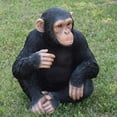 thumbnail image 2 of Monkey Sitting, 2 of 6
