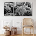 thumbnail image 1 of PixonSign Canvas Print Wall Art Set Lily Cactus Group Floral Wilderness Photography Realism Southwest Group Dramatic Grey Dark Black and White for Living Room, Bedroom, Office - 24"x36"x3, 1 of 5
