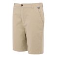 thumbnail image 3 of Regatta Mens Sabastal Shorts, 3 of 5