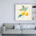 thumbnail image 3 of Trademark Fine Art 'Flour sack Lemons III Sq Navy' Canvas Art by Danhui Nai, 3 of 3