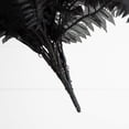thumbnail image 4 of Nearly Natural Halloween Artificial Boston Ferns - 40" - Black - Set of 2, 4 of 4