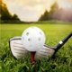 thumbnail image 4 of Toystoory Pelotas de golf Flujo de aire Agujero hueco Ejercicio al aire libre Suministro perforado Antichoque Equipo deportivo de alta Golf, 4 of 6