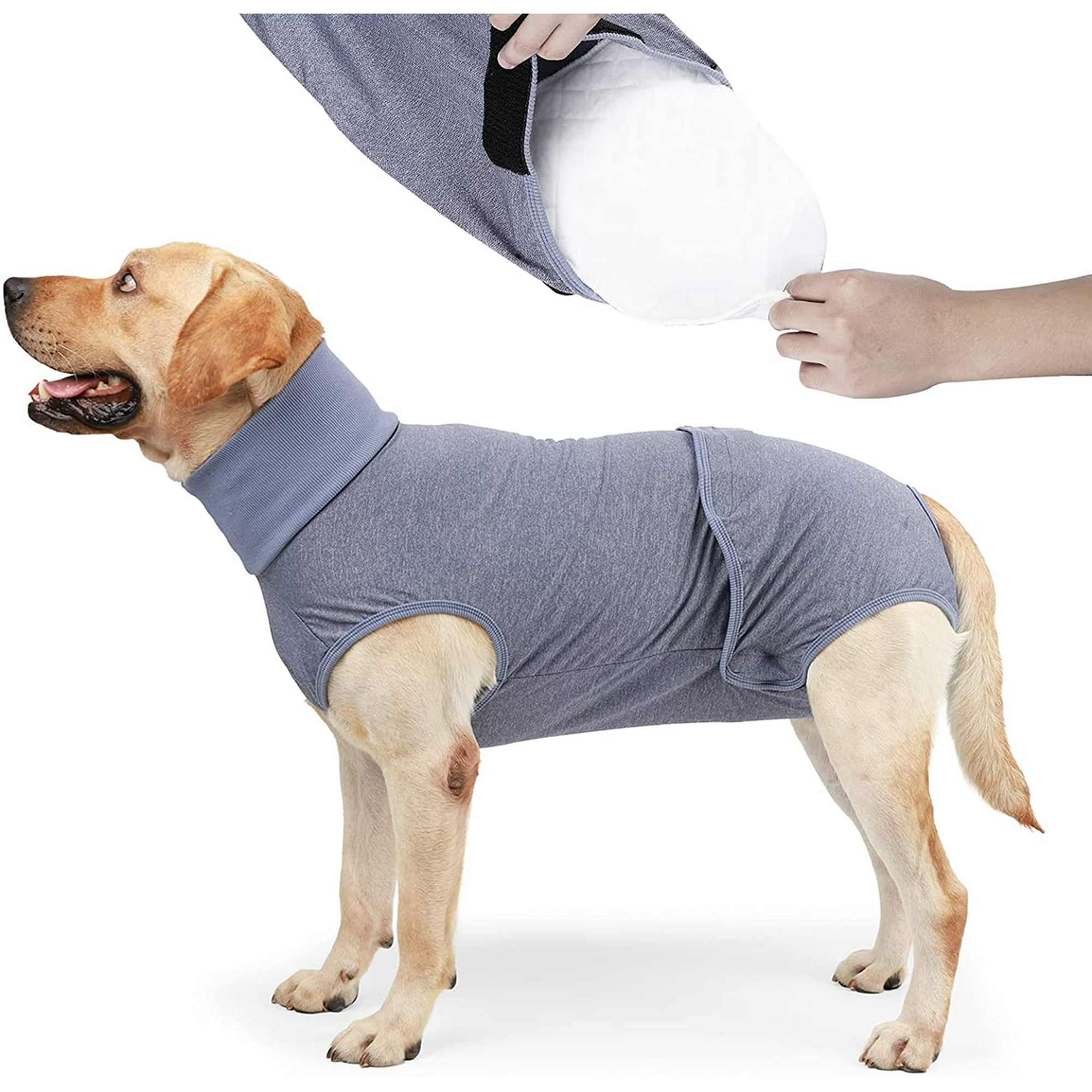 Doggie diapers for older dogs hot sale