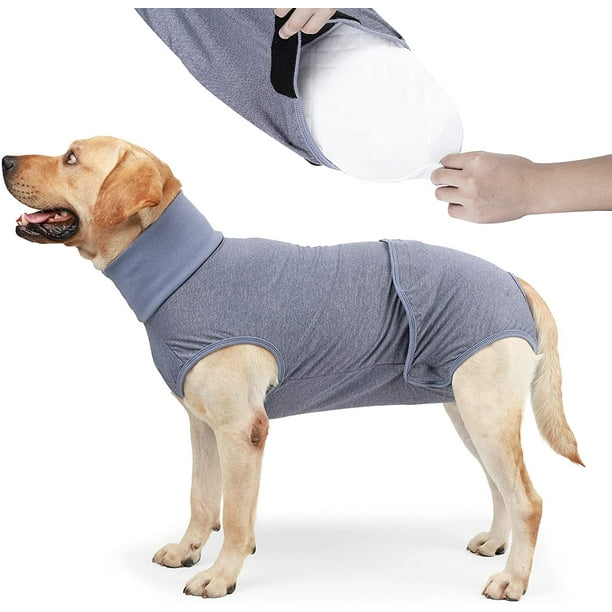 Nappies top for puppies
