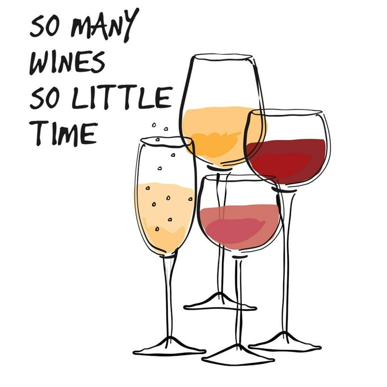 So Much Wine So Little Time T-Shirt