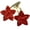 6 red, variant on FENOHREFE Popular Glitters Star Hairpin Side Clip Barrettes Hair Clip Women Hair Accessories Side Pin for Girls Kids Hair Decors
