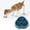 Blue, variant on Small Slow Feeder Cat Dog Bowls, Puzzle Dog Bowl with Anti-, Pet Food Bowls for Fast Eaters,Interactive Dog Feeding Dishes to Slow Down Eating, Bloat Stop Bowls for Small Medium Dogs and Cats
