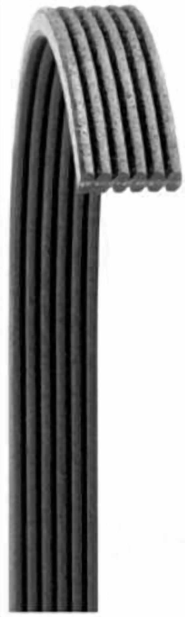 Dayco 6070550 V-Ribbed Belt