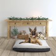 thumbnail image 4 of Vibrant Life Deluxe Gusseted Pet Bed, Large, 4 of 5
