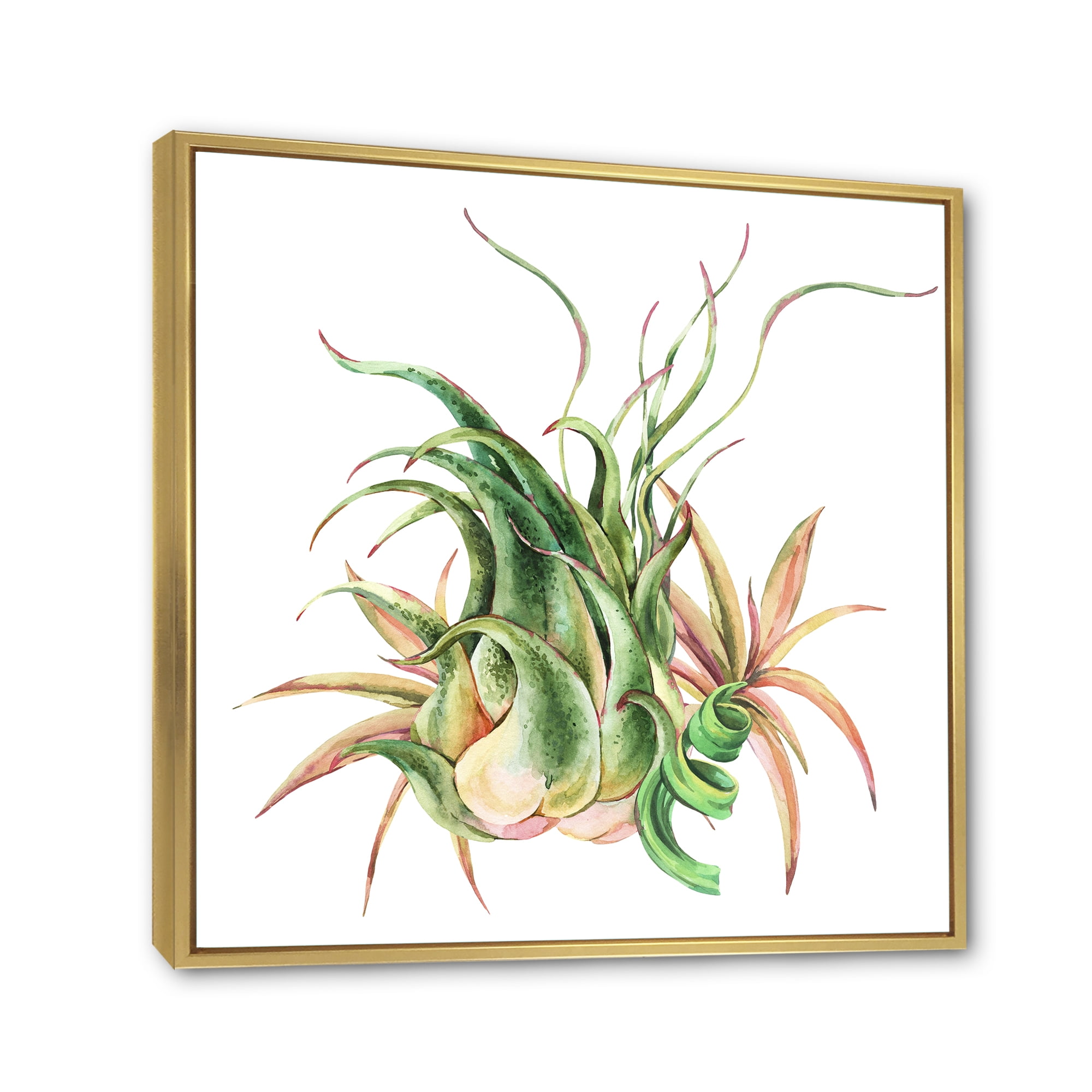 Designart 'Tropical Leaves Air Plant Succulent On White' Farmhouse Framed Canvas Wall Art Print