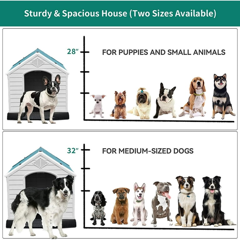 Stores that top sell dog houses