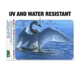 thumbnail image 2 of Tundra Swan in the Lake at Dawn Home Business Office Sign, 2 of 7