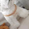 thumbnail image 4 of Collar Gargantilla Diamantes Joyería Perros Gatos Gmr, 4 of 6