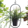 thumbnail image 4 of Minzimin 2 Inch Ceiling Hooks, Screw-in Cup Hook for Hanging Plants, Lights, Mugs - Heavy Duty Indoor Outdoor Use, Metal Wall Kitchen Hanger, (12 Pack), 4 of 7
