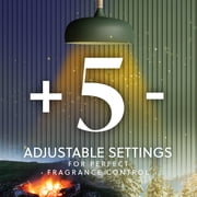 Air Wick Vibrant Plug-In Fall Scented Oil Air Freshener Warmer Refills Falliday Pack, Campfire and Winter Woods, 5 Count