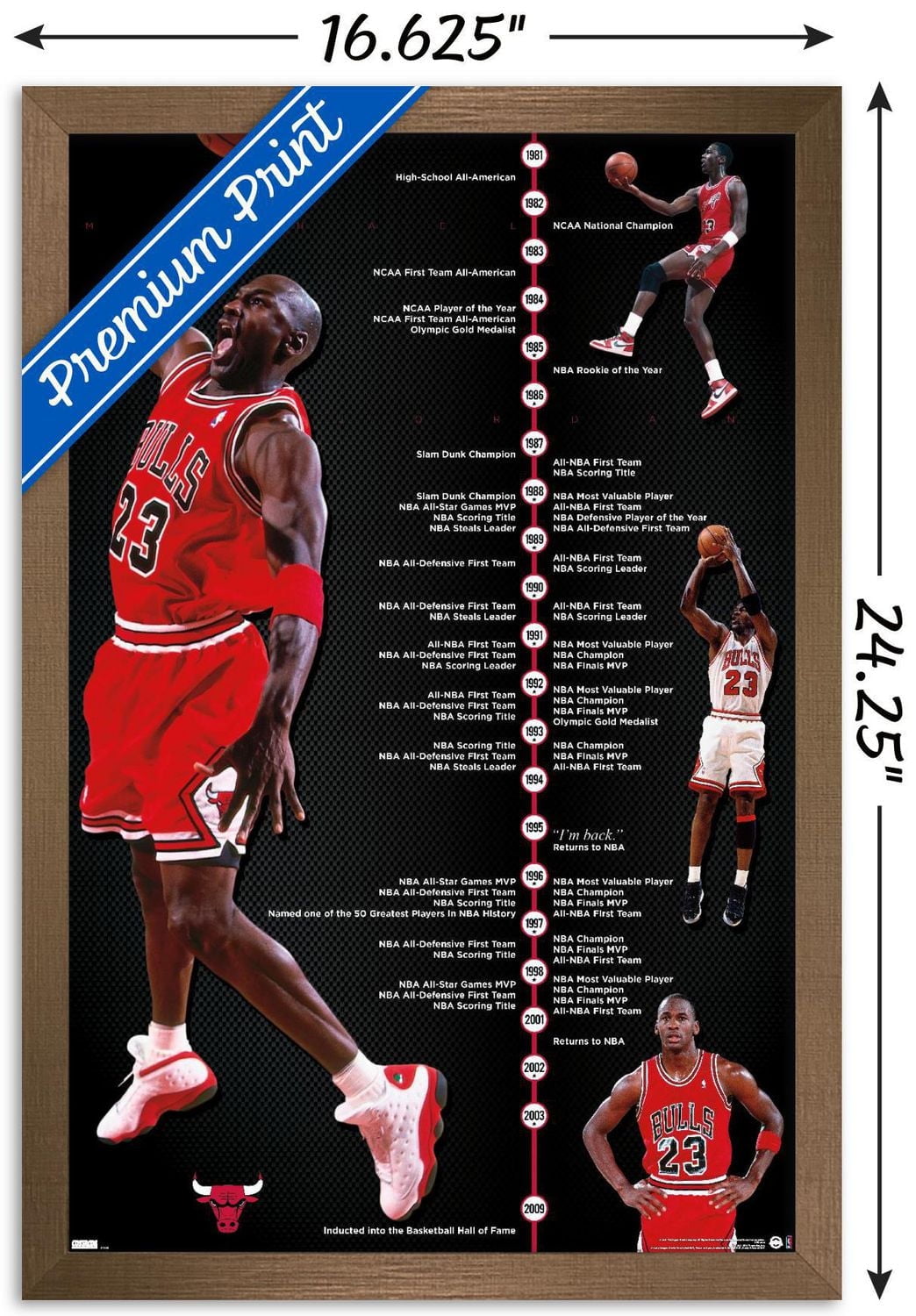 Michael Jordan - Timeline Wall Poster, 22.375" x 34" Framed