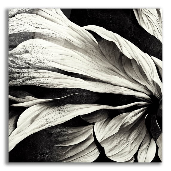 Epic Art 'Flowers Black White 9' by Ray Heere, Acrylic Glass Wall Art, 12"x12"